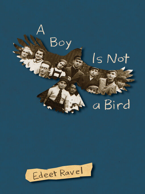 Cover of A Boy Is Not a Bird